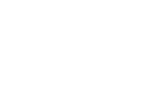 level-travel